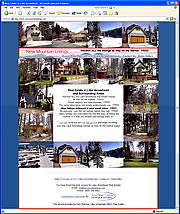 Small Business Web Design.