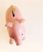 affordable search engine optimization company.