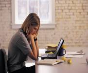 professional business web site template.