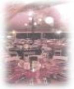 chicago event planner.