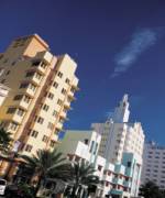 custom web site design florida.