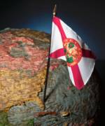 tampa web site development.